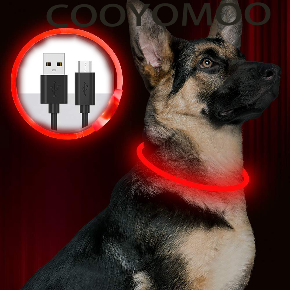 Tech Dog Accessories - Collare per cani a LED in