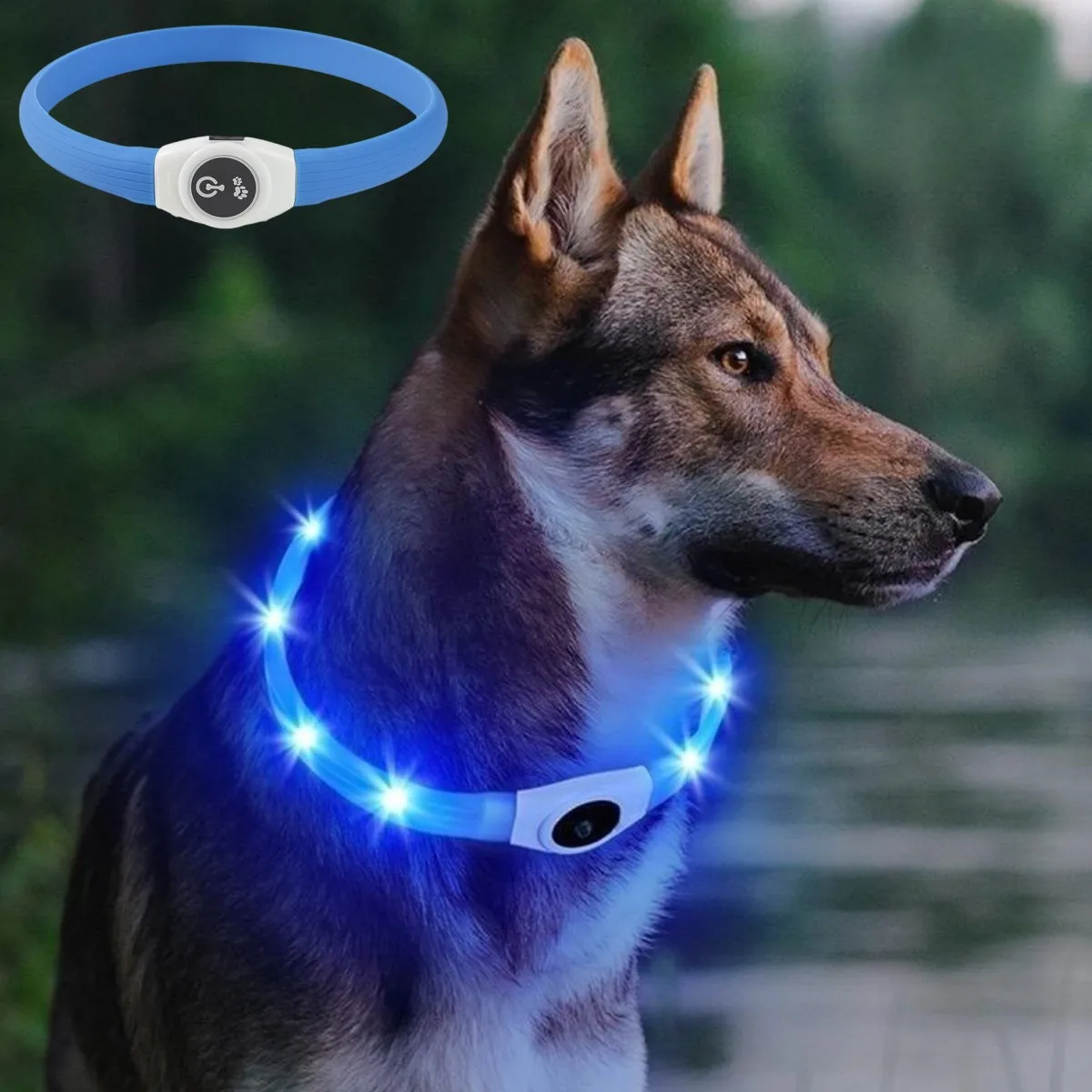 Tech Dog Accessories - Nuovo collare per cani luminoso a