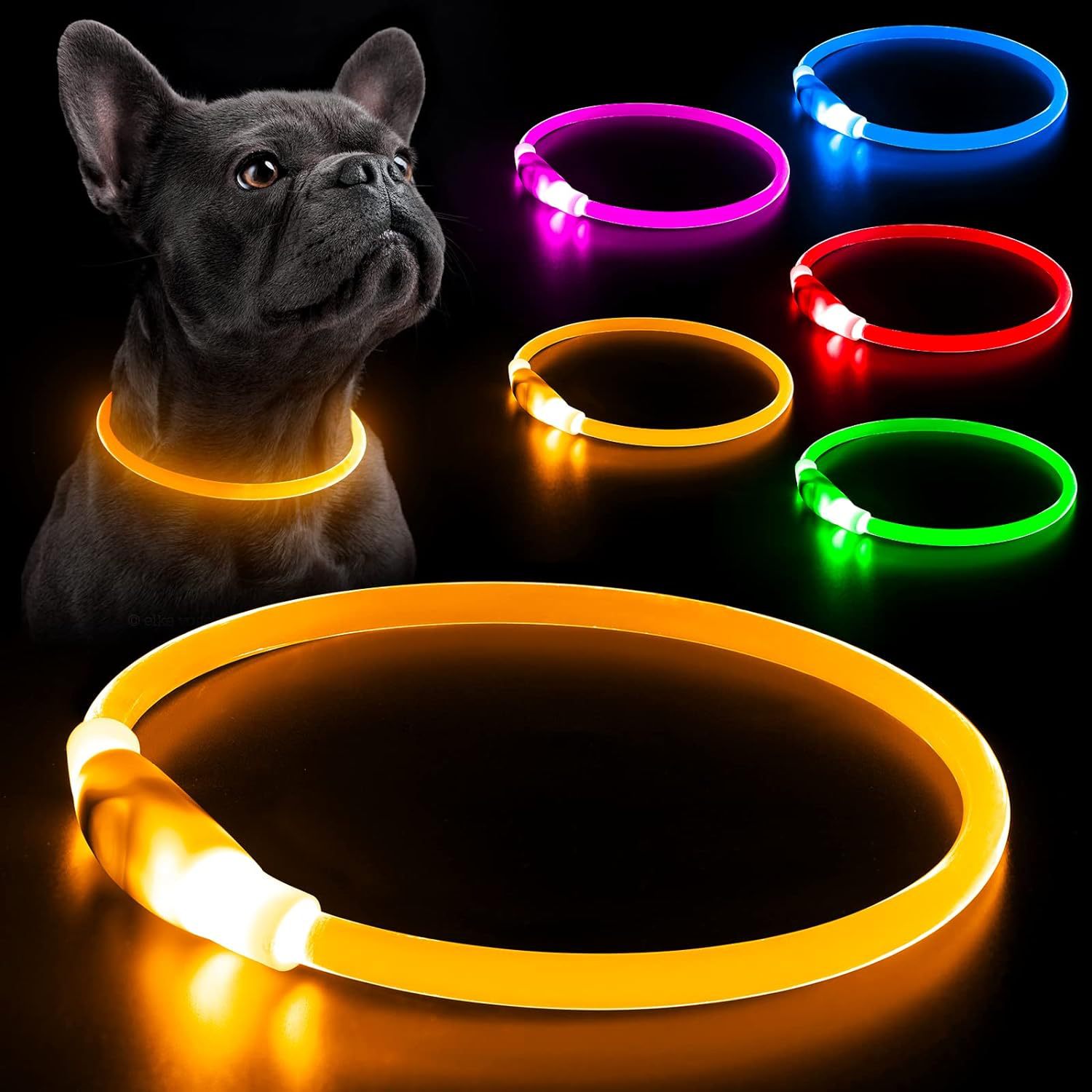 Collare per cani a LED ricaric - Tech Dog Accessories recensione e prezzo