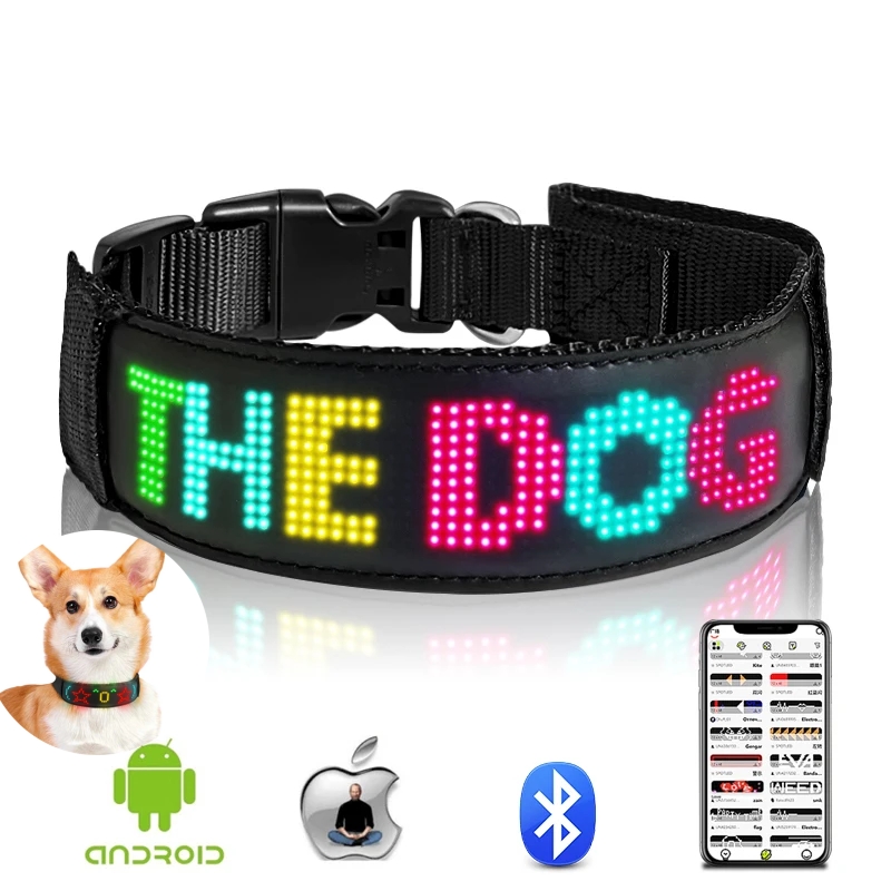 Collari per cani a LED multico - Tech Dog Accessories recensione e prezzo