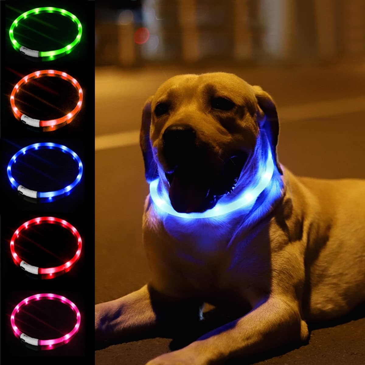Collare per cani a LED in sili - Tech Dog Accessories recensione e prezzo