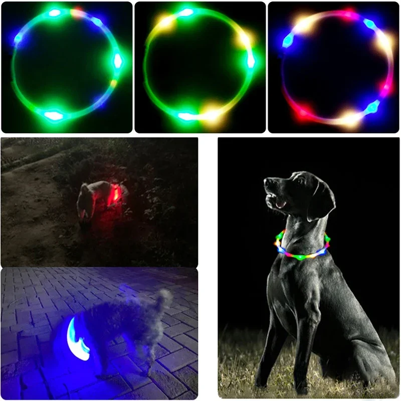 Collare di ricarica Luminou pe - Tech Dog Accessories recensione e prezzo