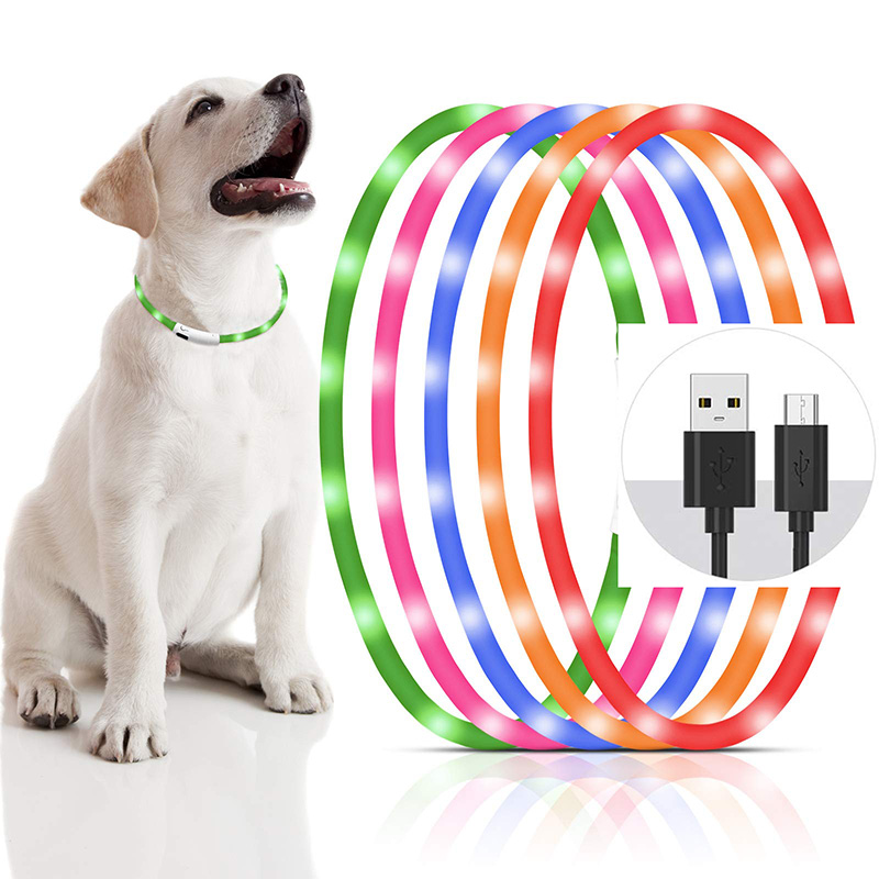Collare per cani a LED in sili - Tech Dog Accessories recensione e prezzo