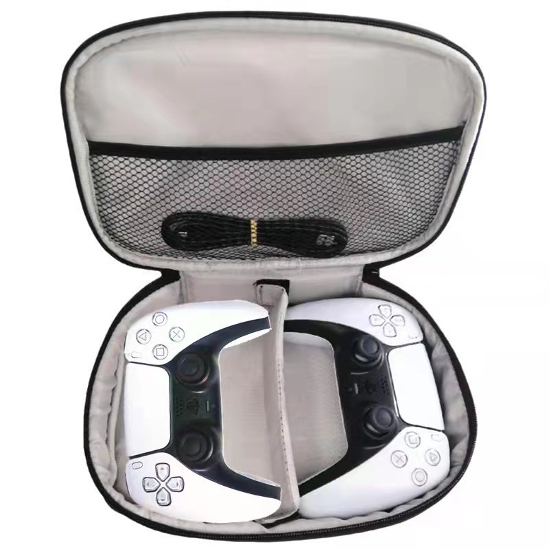 Custodia da trasporto per dopp - Tech Accessories Case recensione e prezzo