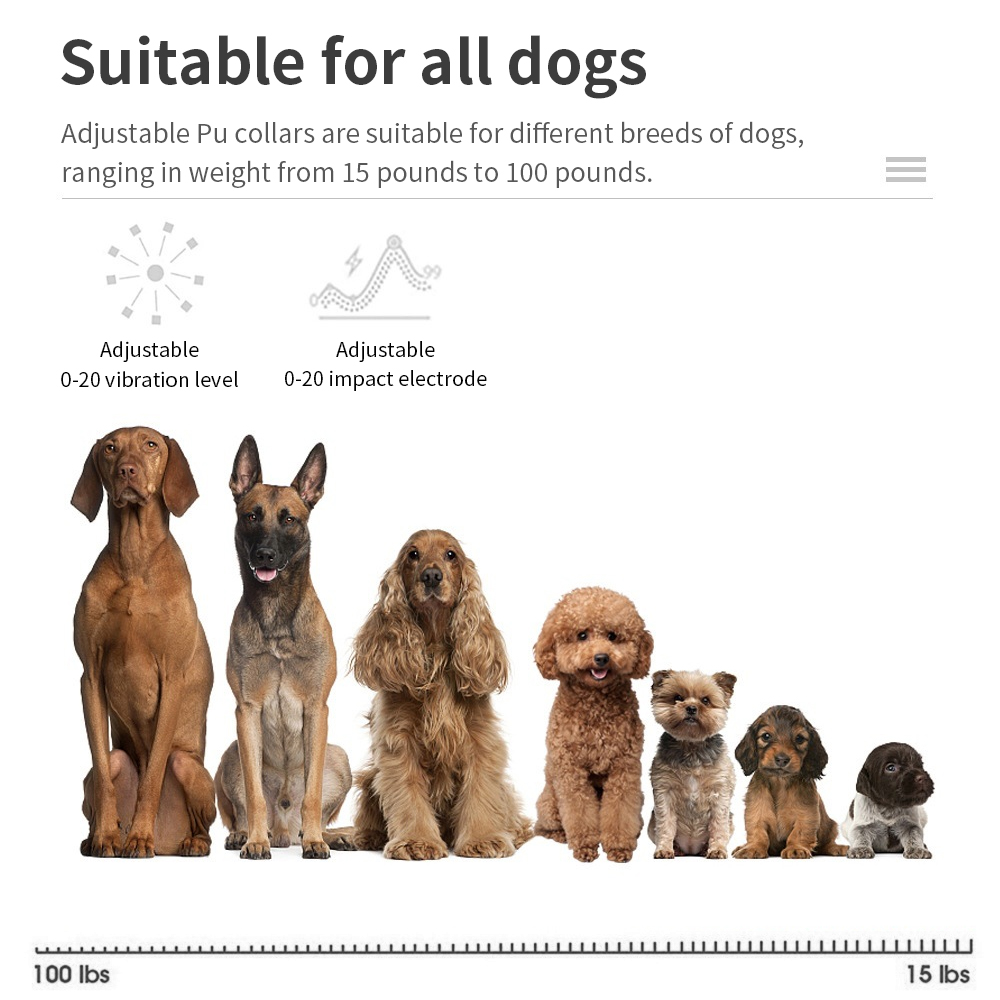 Collare Antiabbaio per Cani co - Tech Dog Accessories recensione e prezzo