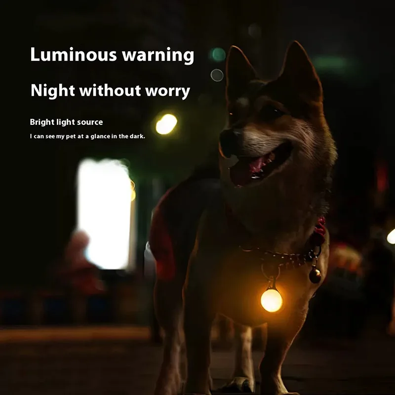 1 collare luminoso per cani e  - Tech Dog Accessories recensione e prezzo
