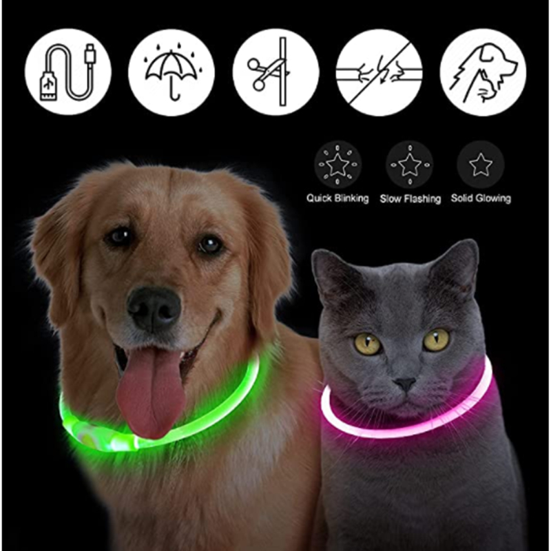 Collare Luminoso Ricaricabile  - Tech Dog Accessories recensione e prezzo