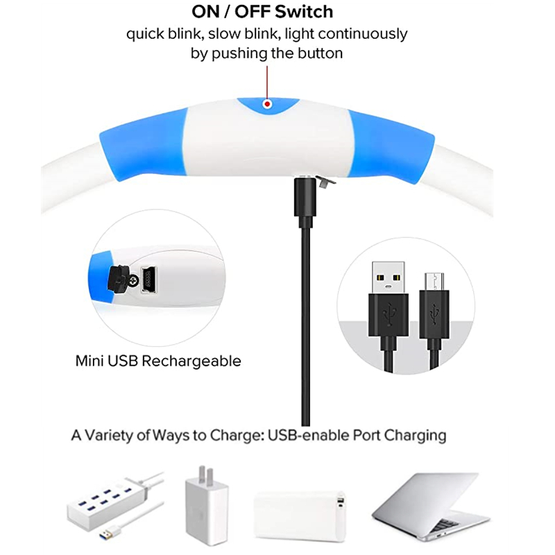 Collare per cani luminoso Coll - Tech Dog Accessories recensione e prezzo