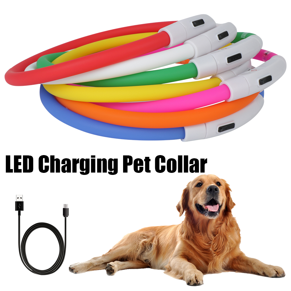 Collare per cani USB a LED per - Tech Dog Accessories recensione e prezzo